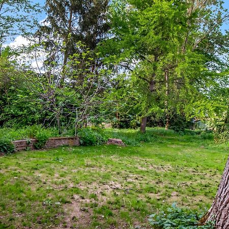 Altstadt Apartment Am Wasser Mit Parkplatz Und Grossem Garten バート・クロイツナハ エクステリア 写真