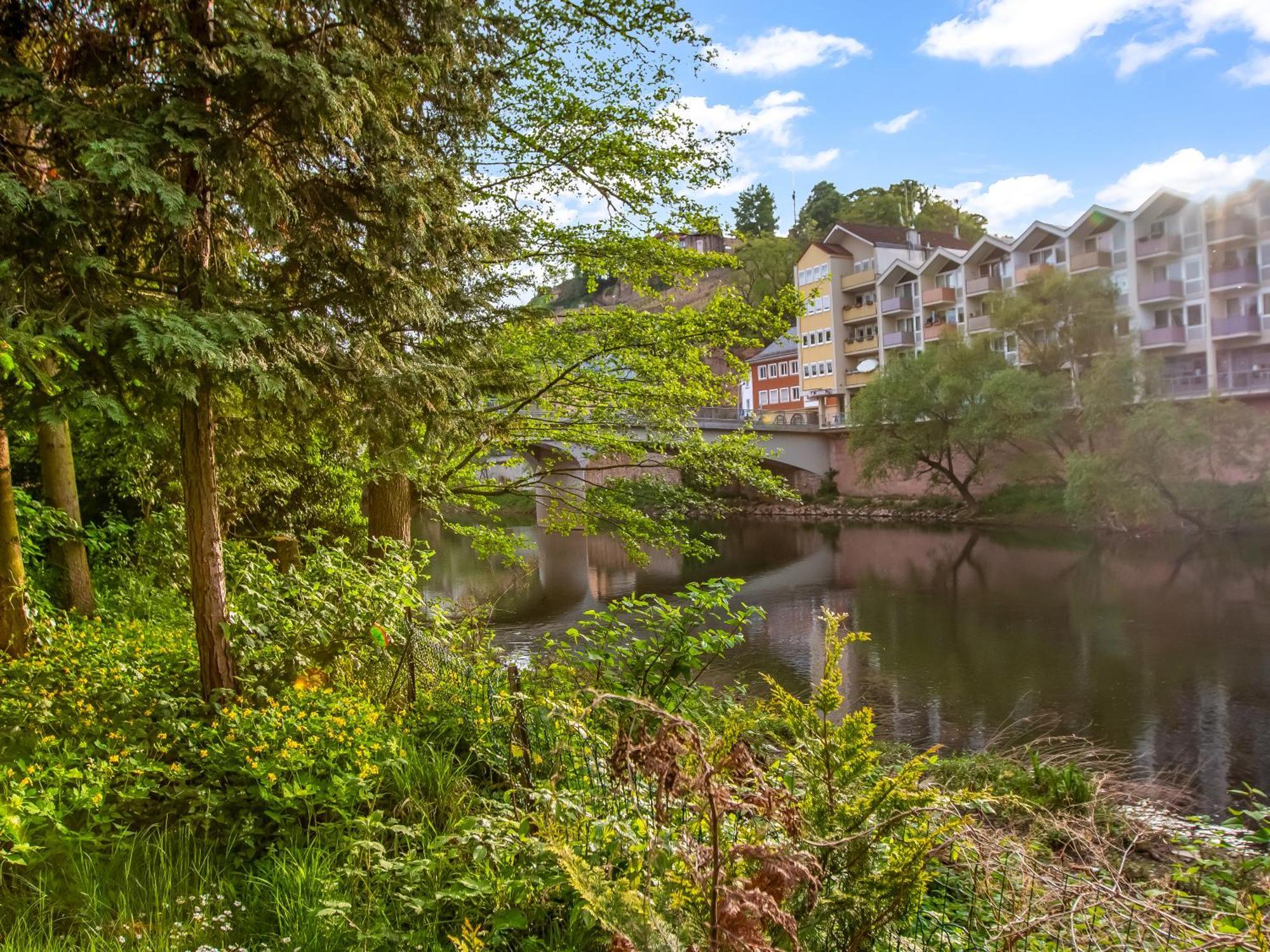 Altstadt Apartment Am Wasser Mit Parkplatz Und Grossem Garten バート・クロイツナハ エクステリア 写真